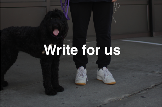 write for us